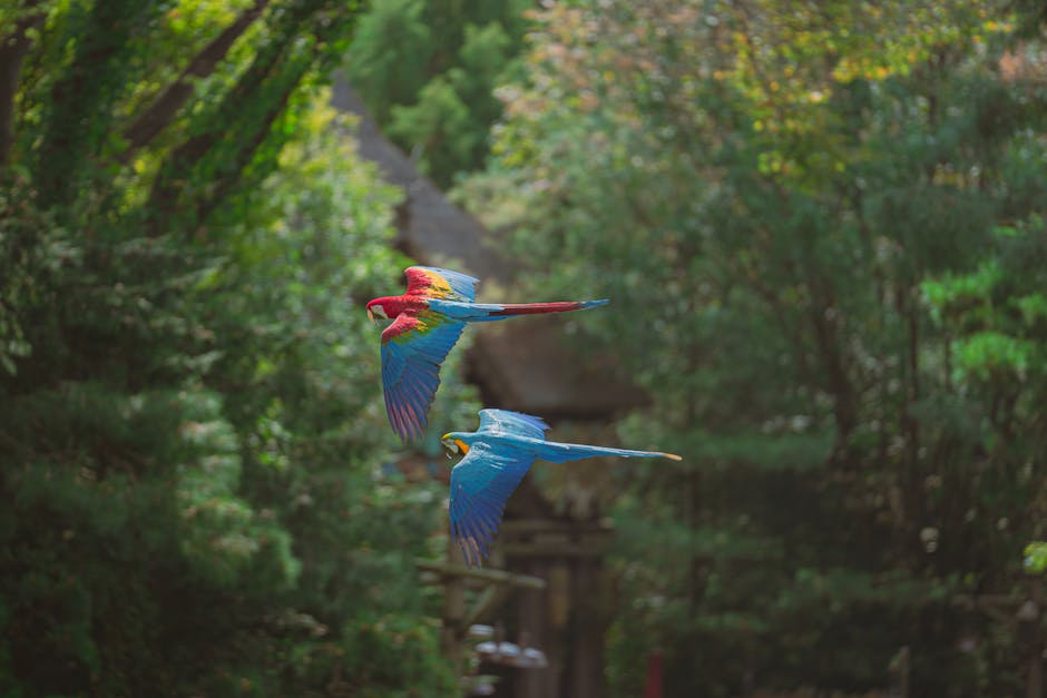 무성한 숲 캐노피에서 날고 있는 활기찬 앵무새