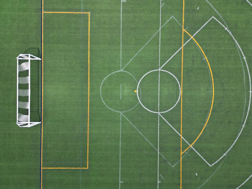 @집 밖의, 건강한 생활, 게임의 무료 스톡 사진