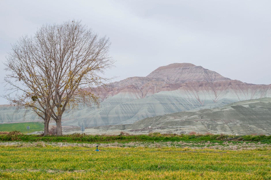 겨울 방학 아이를 위한 '솜사탕 육질' 통닭, 부드러운 조리의 3단계 비밀
