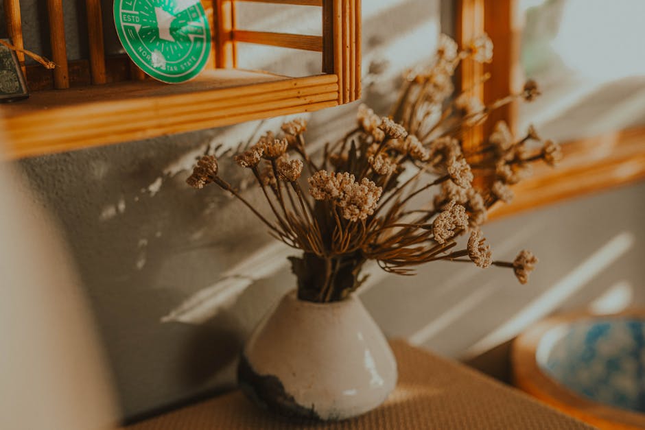 warm cozy living room winter sunlight