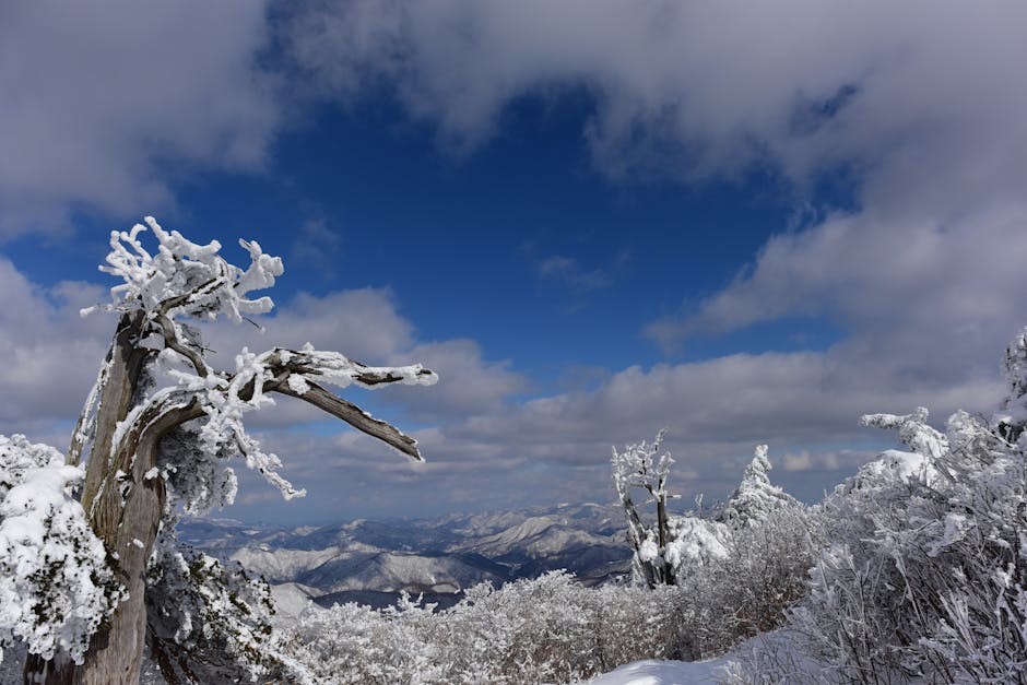 frozen city landscape winter
