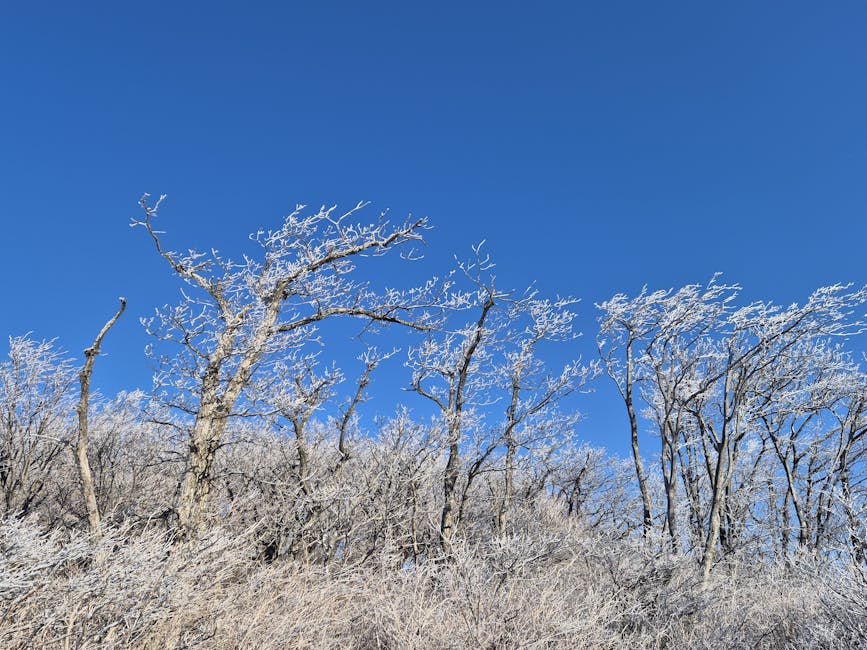 modern small cabin in nature