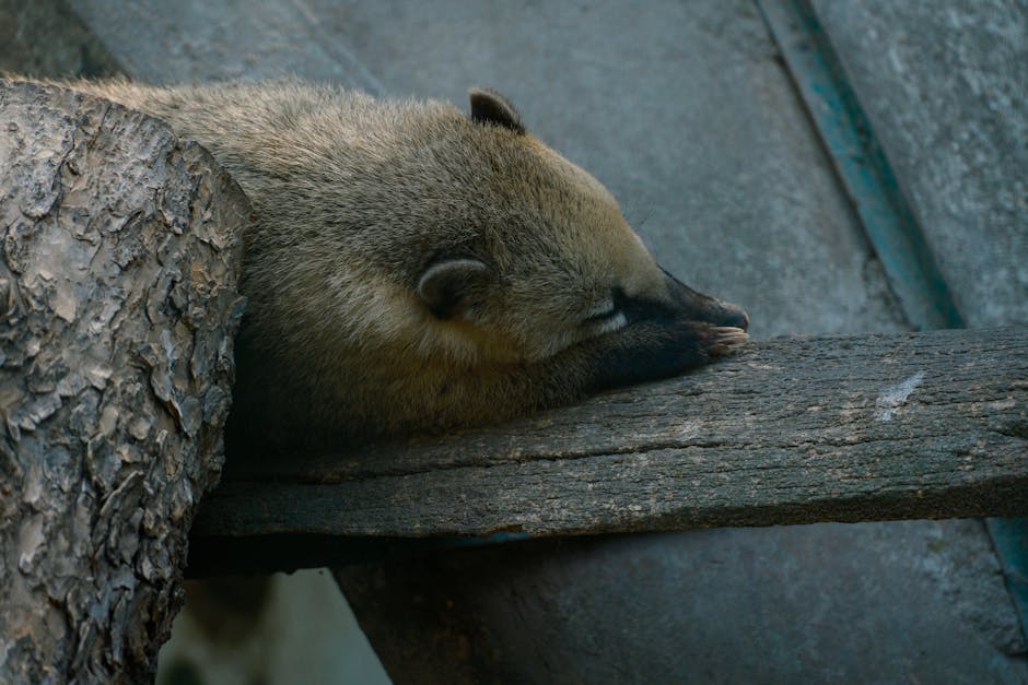 Songdo Central Park skyline Incheon