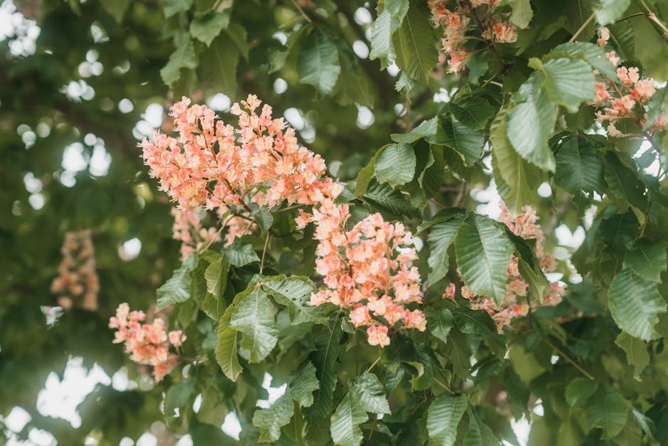 광진구 구의동 어린이대공원 봄 소풍, 아이가 잘 먹는 부드러운 통닭 도시락 가이드