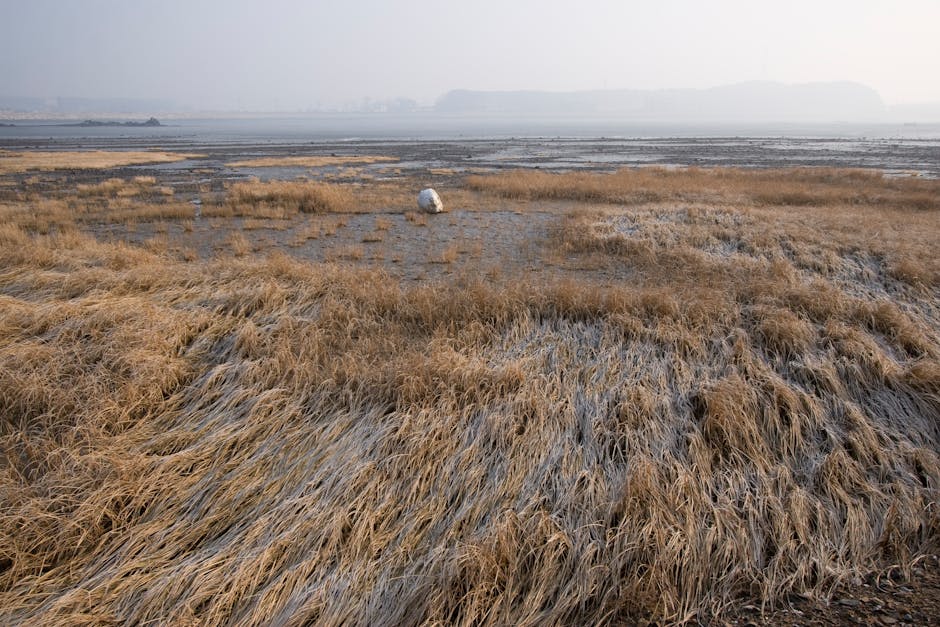kids playing in farm field