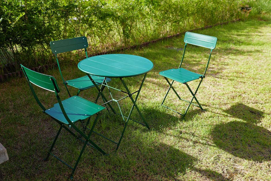 backyard, copy space, eco-friendly의 무료 스톡 사진