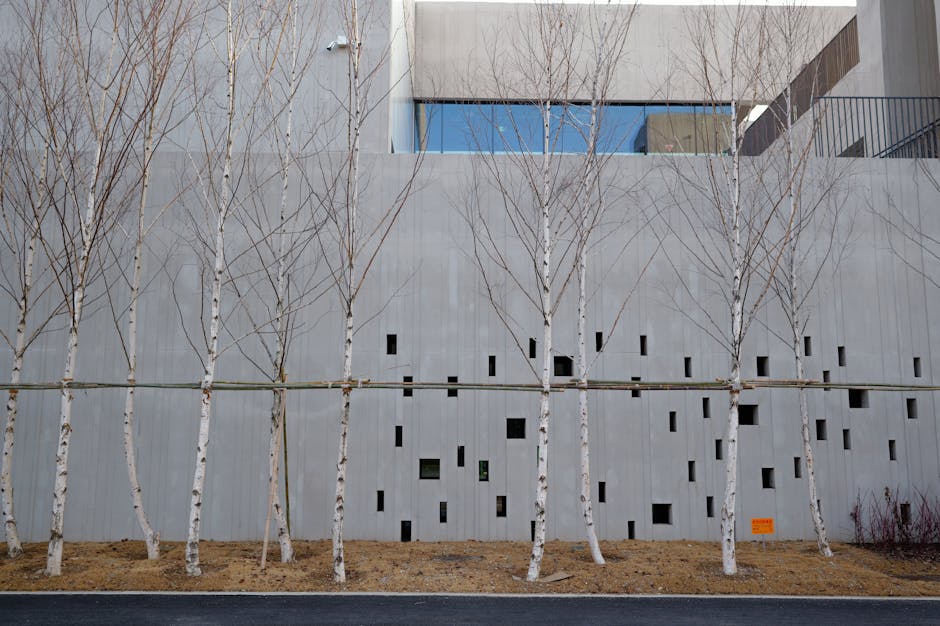 modern tiny house exterior nature