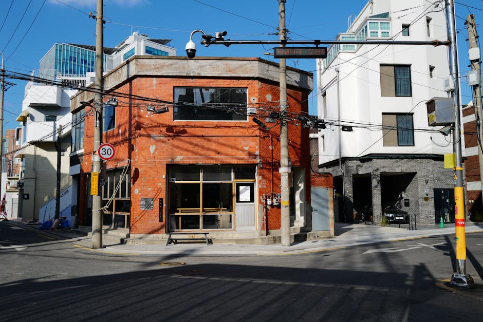modern urban lake park sunset