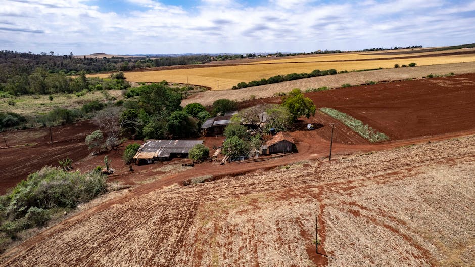 small modern house in rural landscape