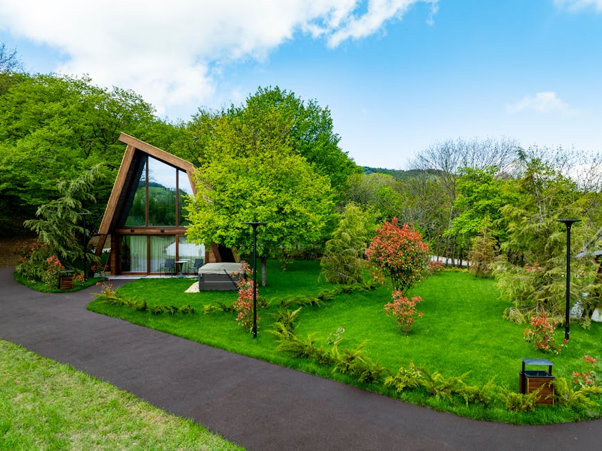 modern tiny house exterior garden