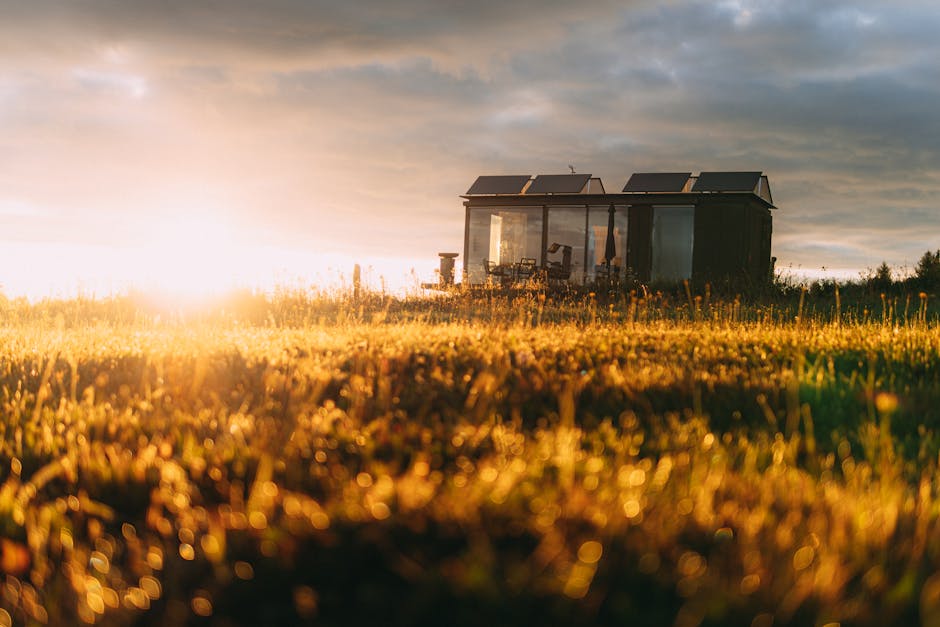 modern tiny house on farm