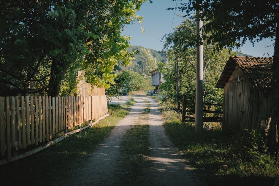 narrow rural road in countryside