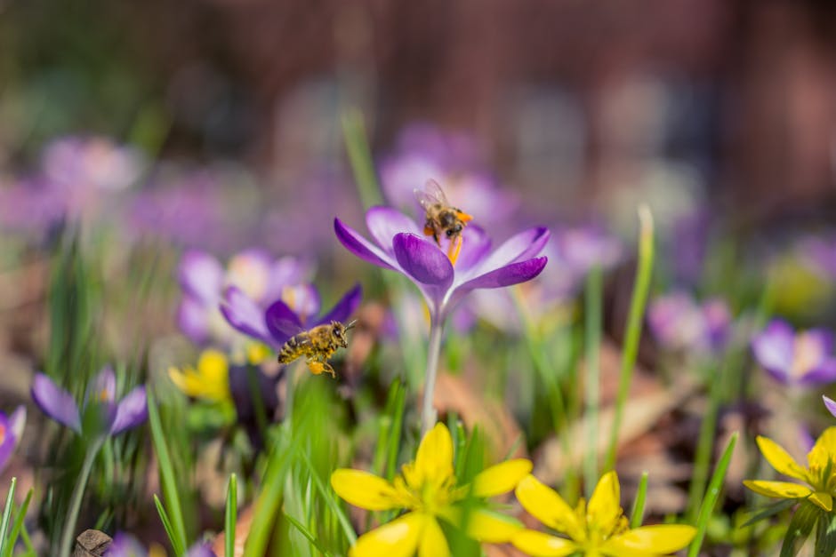 spring flowers and pollen