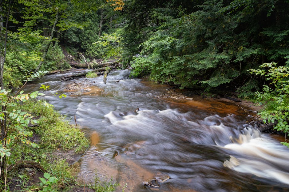 미시간주 북부 반도에 있는 허리케인 강의 고요한 흐름을 포착한 사진입니다.