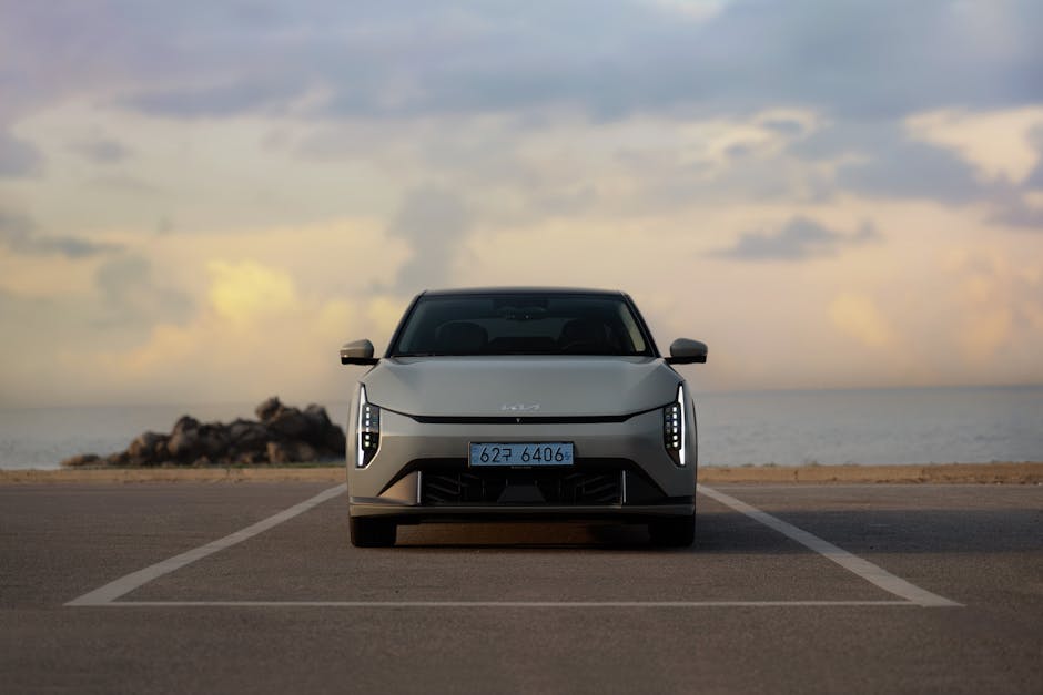 outdoor picnic setup