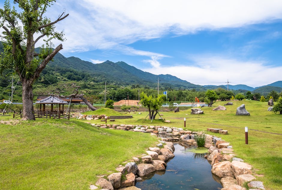 @집 밖의, 강둑, 개울의 무료 스톡 사진