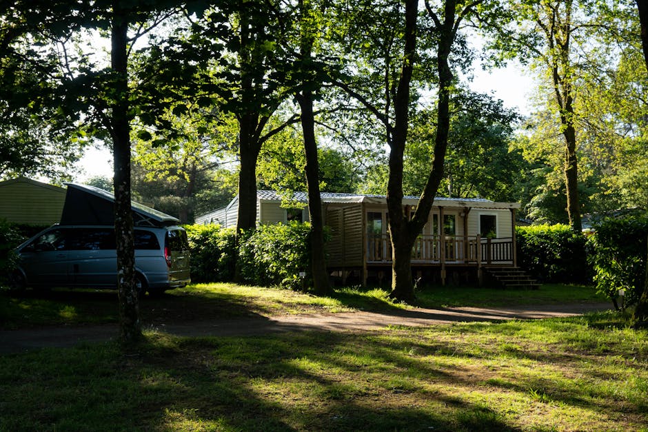family camping at park lake