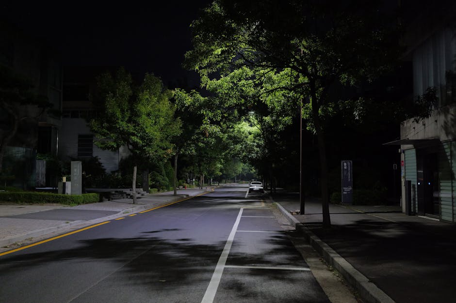 night cherry blossom street