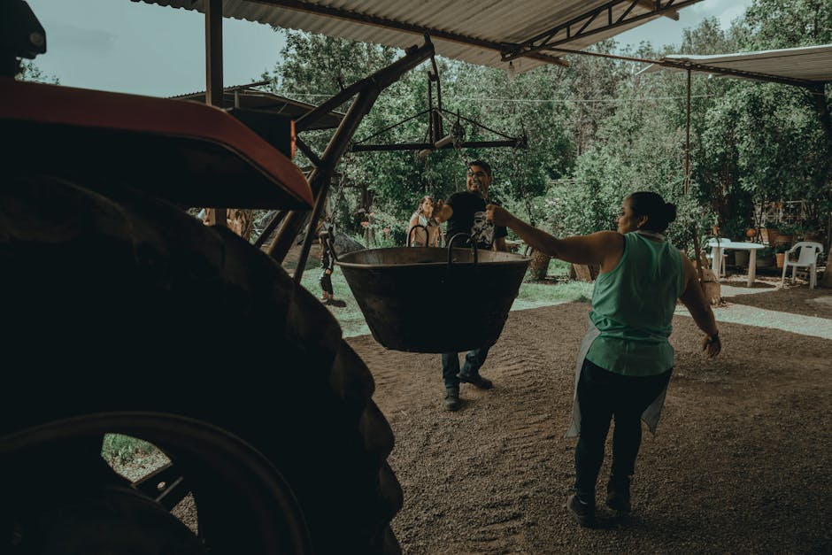 @집 밖의, tree grove, 가족의 무료 스톡 사진