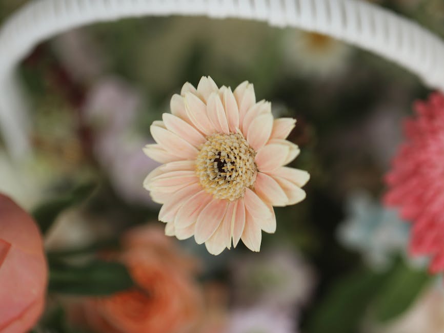 beautiful carnation flower basket bouquet