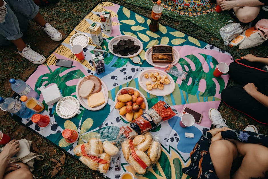 picnic mat with food and drinks