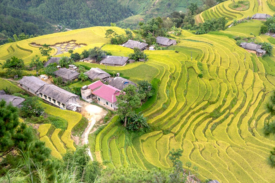 rural village landscape spring morning