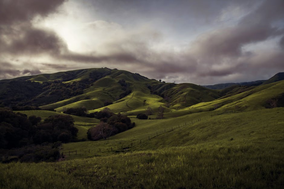 sunny green hills rural landscape