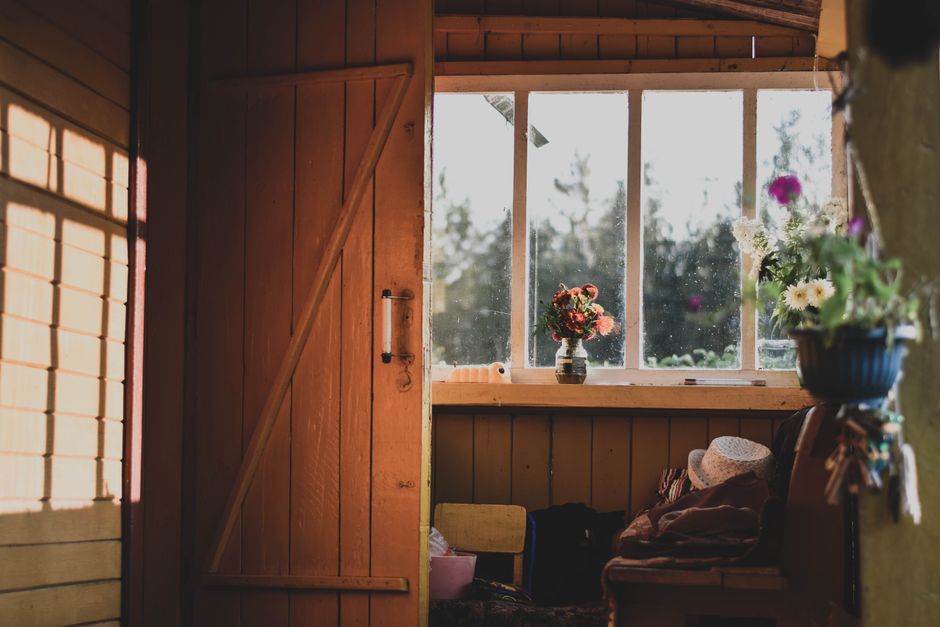cozy wooden cabin interior sunlight