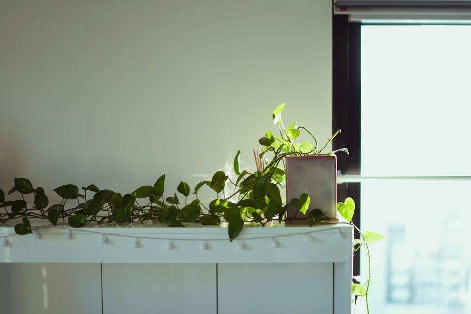 clean bright apartment balcony window sunlight