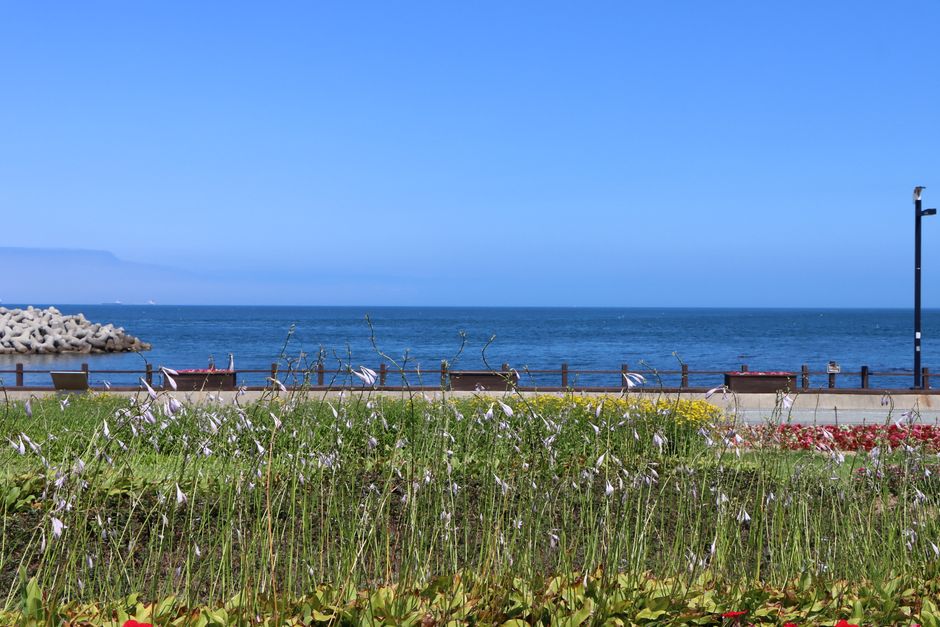 경기 안산시 상록구 휴가 AI 일정 실패 막는 교차 검증 체크리스트