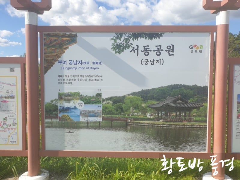 아름다운 인공정원 부여 궁남지에 다녀왔어요~